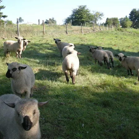 Farm stay Briassou *